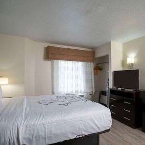 Chambre Lit Queen-Size